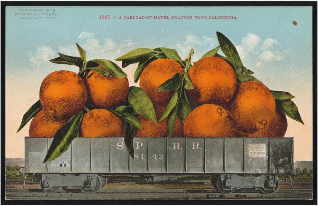This is an image from a 1909 postcard illustrating oranges in a rail car coming from California.